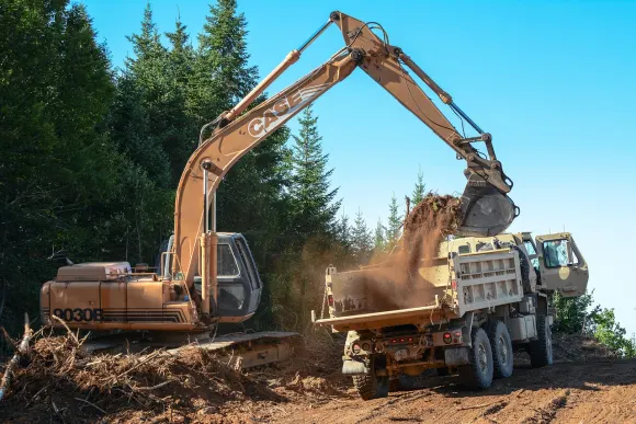 Casino Golden Crown Soporte